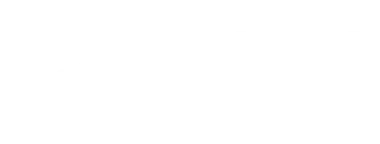 Binary Geckos